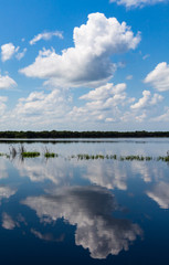 Reflection in the lake