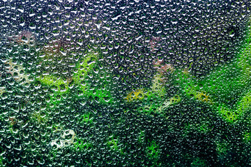 drops of summer rain outside the window