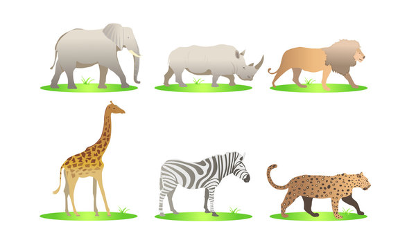 African animals cartoon vector set. elephant, rhino, giraffe, cheetah, zebra, lion. safari isolated illustration - Images vectorielles 
