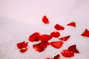 St. Valentine's Day bath. Aromatherapy with flower petals. Take a bath. Water with white foam. Roses float in the bathroom.