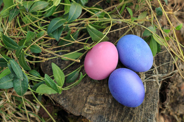 Fototapeta na wymiar Three pink and violet colored traditional Easter eggs in the grass on the natural wooden background