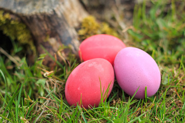 Three pink and red colored traditional Easter eggs in the grass, the natural wood is on background