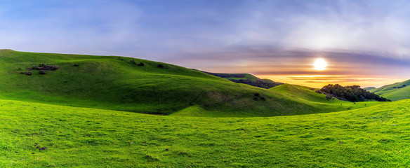 Fototapeta na wymiar Panorama of Hills of Pasture Land at Sunset 