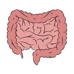 Guts illustration. Drawing of guts