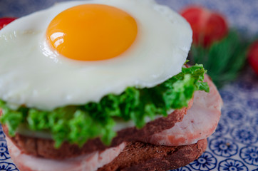 Sandwich with egg, ham, cheese, toast and salad leaves lies on a plate with tomato and dill