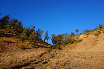 the mountain path