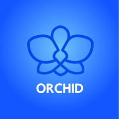 Premium grand Orchid design concept vector.   © Creative_Bringer