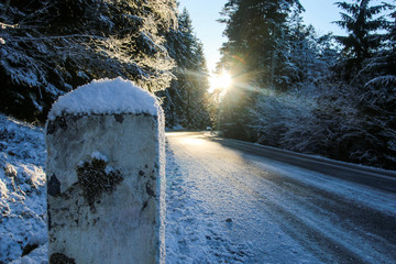 A picture of the road in the forest during the warm winter evening. The sun is going down. 