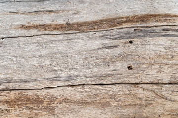 Texture of the old pine boards with cracks