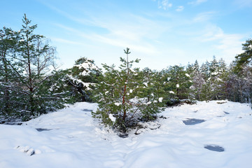Gorges de Franchard under snow in Fontainebleau forest