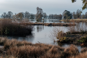 Frosty Walk at Petworth Park