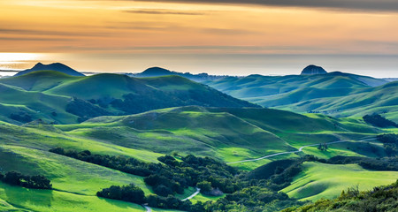 Sunset of Rolling Hills of Grass and Forest 