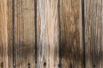 Obraz premium texture wood background