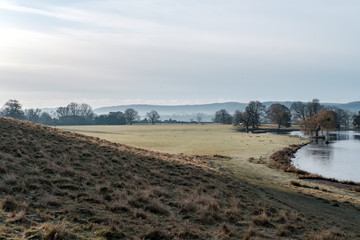 Frosty Walk at Petworth Park