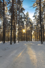 A walk through a little Swedish village on a sunny winterday