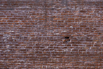 Obraz premium wall texture 