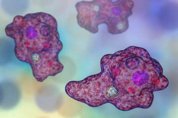 Entamoeba gingivalis protozoan, 3D illustration. An amoeba found in mouth and associated with periodontal diseases