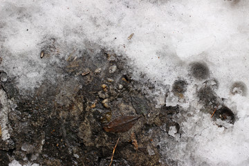 Melting snow asphalt slush water puddle flow dirty street sidewalk