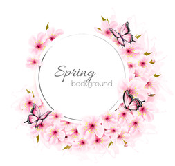Spring nature background with cherry branch and butterflies. Vector