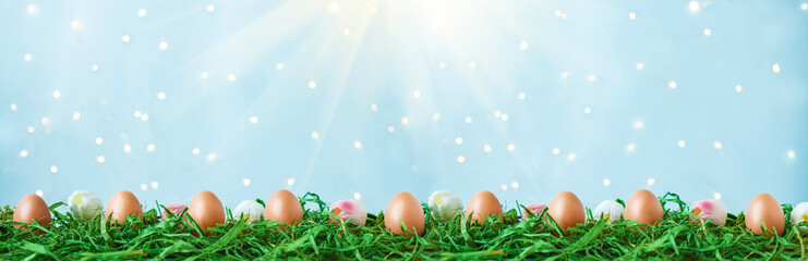 Easter eggs on green grass, tulips with bokeh and sunlight on a blue background Easter concept