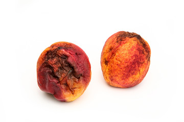 A picture of a rotten nectarine. The shape is deformed and it is inedible. Isolated on white background. 