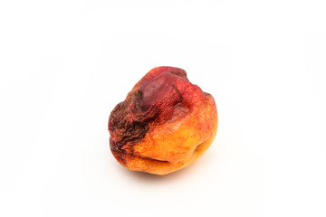 A picture of a rotten nectarine. The shape is deformed and it is inedible. Isolated on white background. 