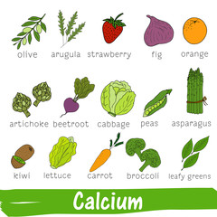 Vegetables and fruits with a high content of Calcium. Hand drawn vitamin set.
