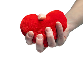 Obraz premium Female hands giving red heart