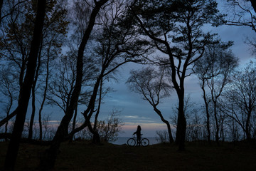 Cyclist on the background of large trees