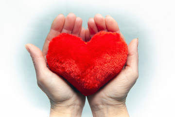 Obraz premium Female hands giving red heart