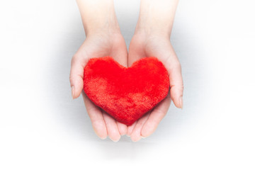 Obraz premium Female hands giving red heart