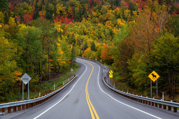 Naklejka premium Scenic road in the mountains surrounded by vibrant Fall Color Trees. Taken in Forillon National Park, near Gaspé, Quebec, Canada.