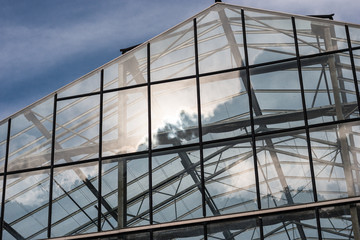 Fototapeta na wymiar Greenhouse for growing plants