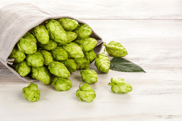 Fresh green hop fruits in bag.
