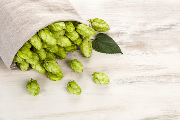 Fresh green hop fruits in burlap bag on wooden table.