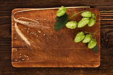 Background of fresh hop with barley grain and leaves.