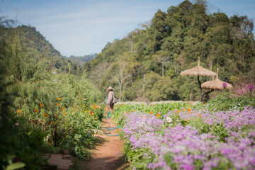 Workers watering flowers