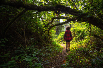 Woman walking through the green rain forest during a vibrant summer day. Taken in Northern Vancouver Island, BC, Canada.