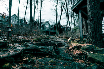 the dark path leads