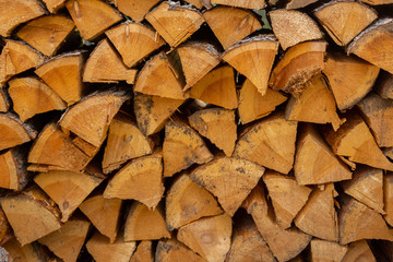 Harvested firewood lies in the woodpile