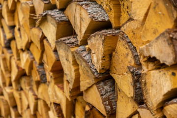Harvested firewood lies in the woodpile