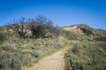 Fototapeta na wymiar Offroad Trail in Desert Hills