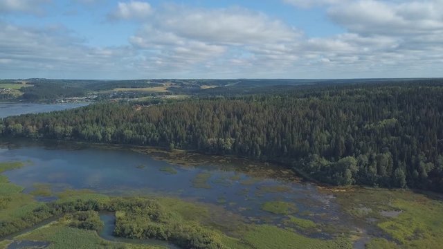 Aerial view of the river covered by grass and sedge against blue cloudy sky. Clip. Beautiful landscape