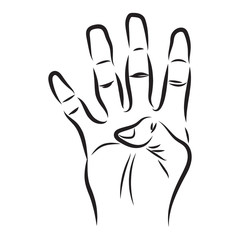 finger with gesture four isolated on white background. Vector Illustration. 