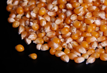 Corn seeds isolated on black background