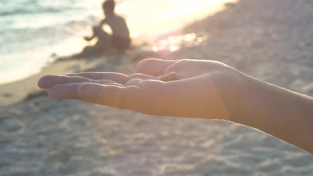 Sea shell in the palm of your hand