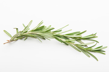 sprig of rosemary © masyuk1989