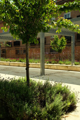 Pergola in park