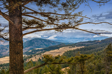 Yellowstone Landscape