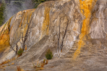 Geothermal Formations Yellowstone National Park